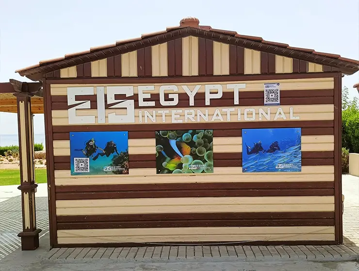 Egypt International Diving